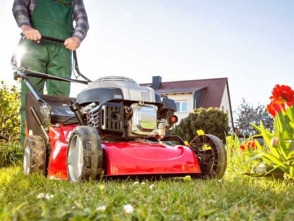 Grass Cutting Machine