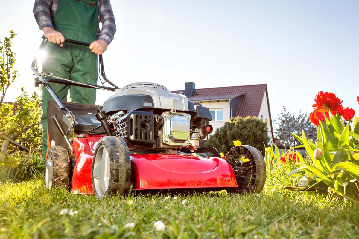 Grass Cutting Machine