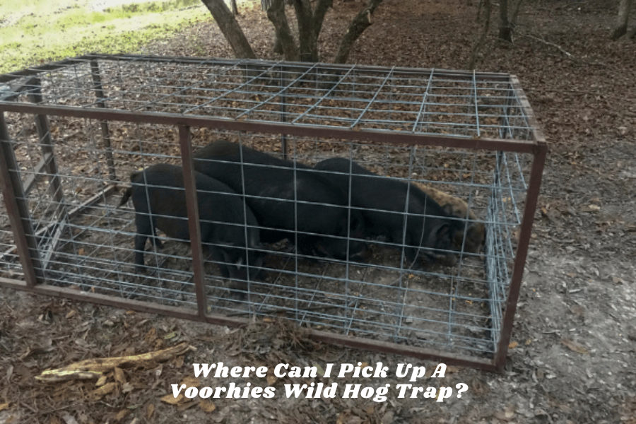 Where Can I Pick Up A Voorhies Wild Hog Trap?